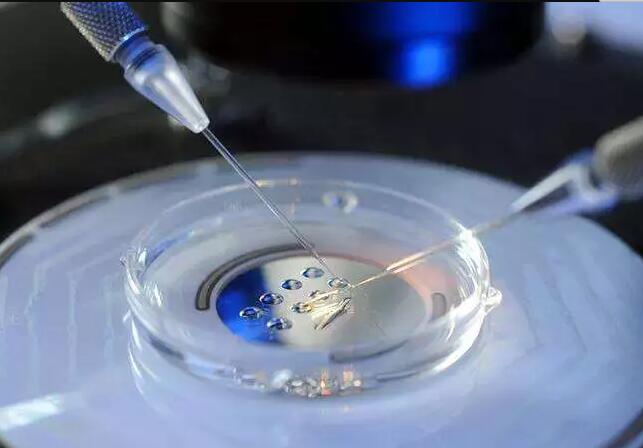 高龄产妇生育风险研究：49岁试管婴儿案例分析